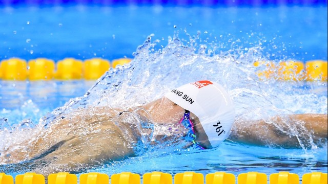 全国足球裁判员培训体系升级，执裁水平持续提高，足球裁判员培训一般多少钱